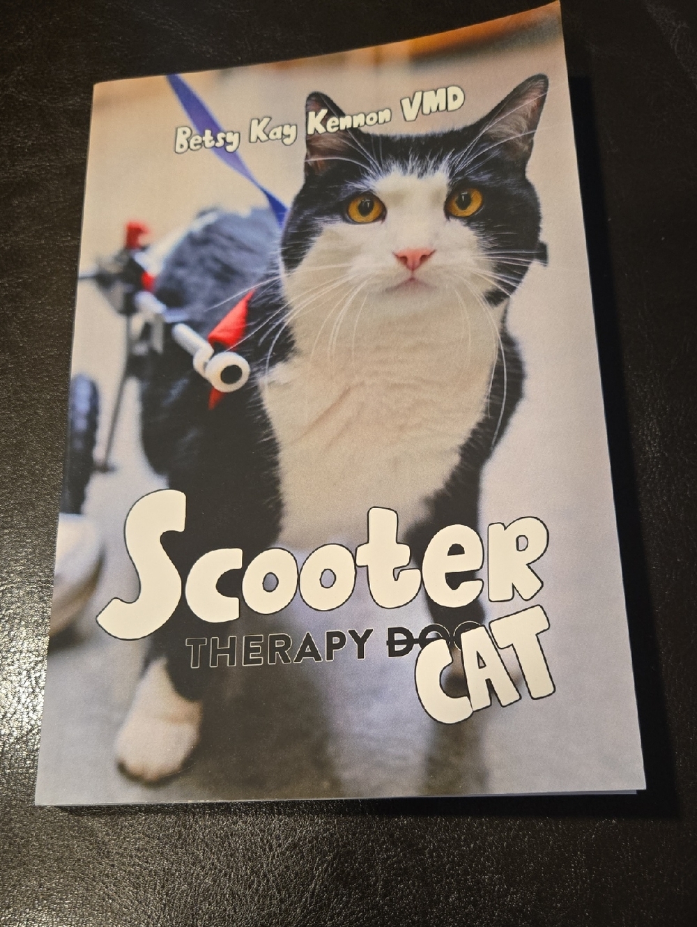 Scooter Therapy Cat Paperback Book Written By Betsy Kay Kennon